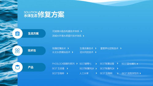 易企宣助力澳洲上市公司林澤圣泰中國區網站策劃開發，專業服務廈門中小企業網站建設