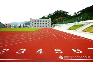 塑膠跑道分類與預制型卷材解析 材料廠家專業指南