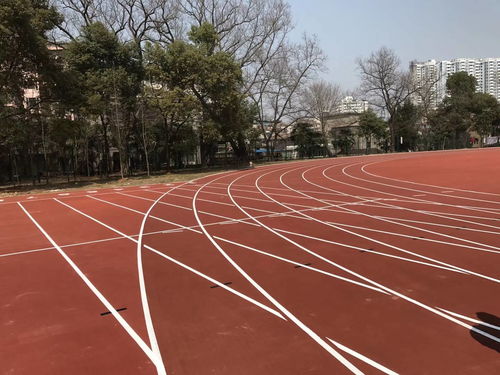 塑膠跑道類型對比 預(yù)制型跑道卷材的優(yōu)勢與應(yīng)用