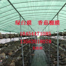 莆田市涵江區洋尾塑料制品廠銷售部 專注PE塑料吹膜與制品銷售的專業供應商